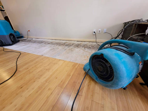 Professional Sewage Cleanup technician working in Glen Easton, WV